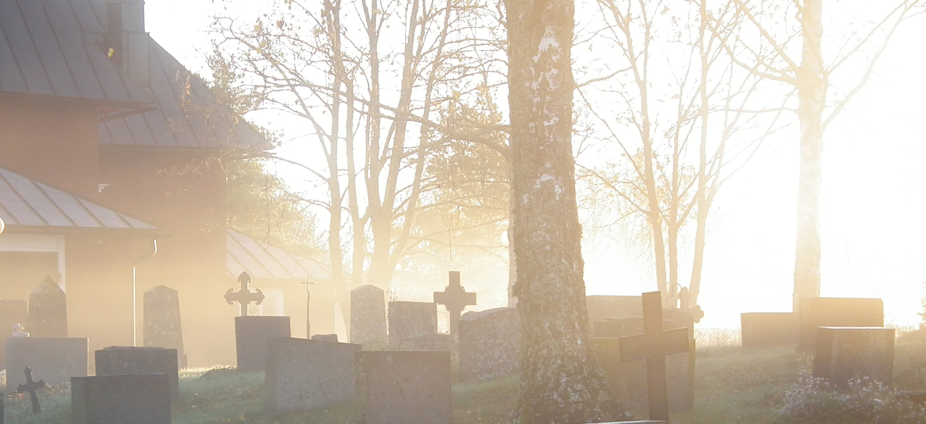 Hitis gravgård en tidig morgon när solen stiger upp och dimman ännu ligger över gravgården.