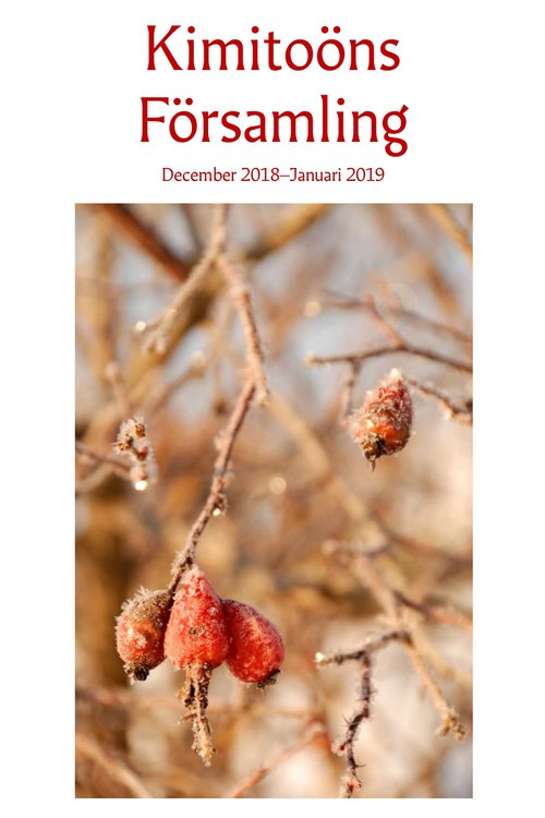 Pärm församlingens jultidning_S.jpg